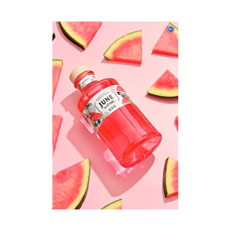 June by G'Vine watermelon Gin Maison Villevert