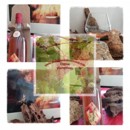 le Flamgnanco Petite Champagne Cognac Domaine des tonneaux